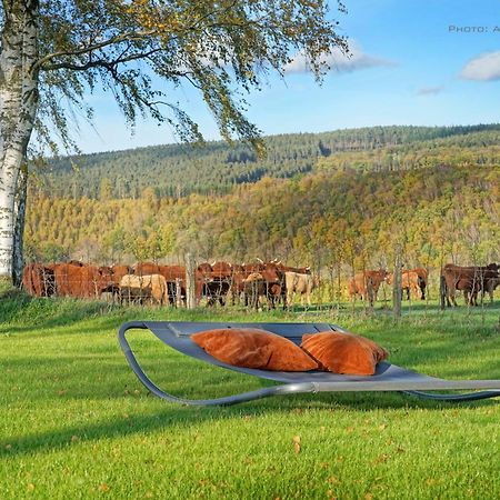 Gite Altitude 399 A Trois-Ponts Basse-Bodeux Екстер'єр фото